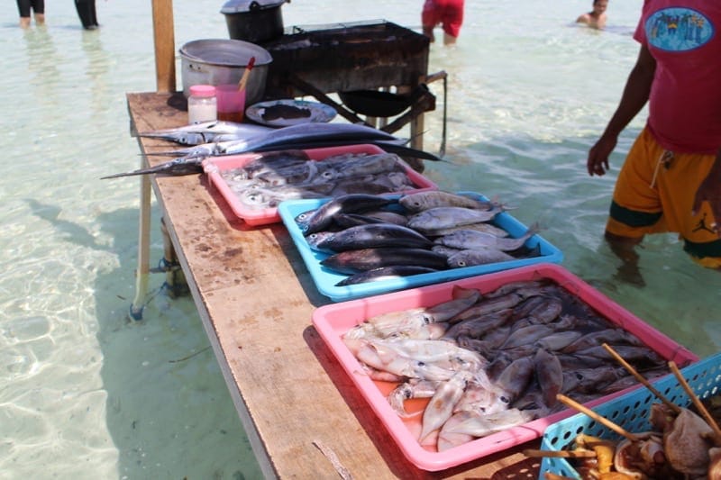 fish in the philippines