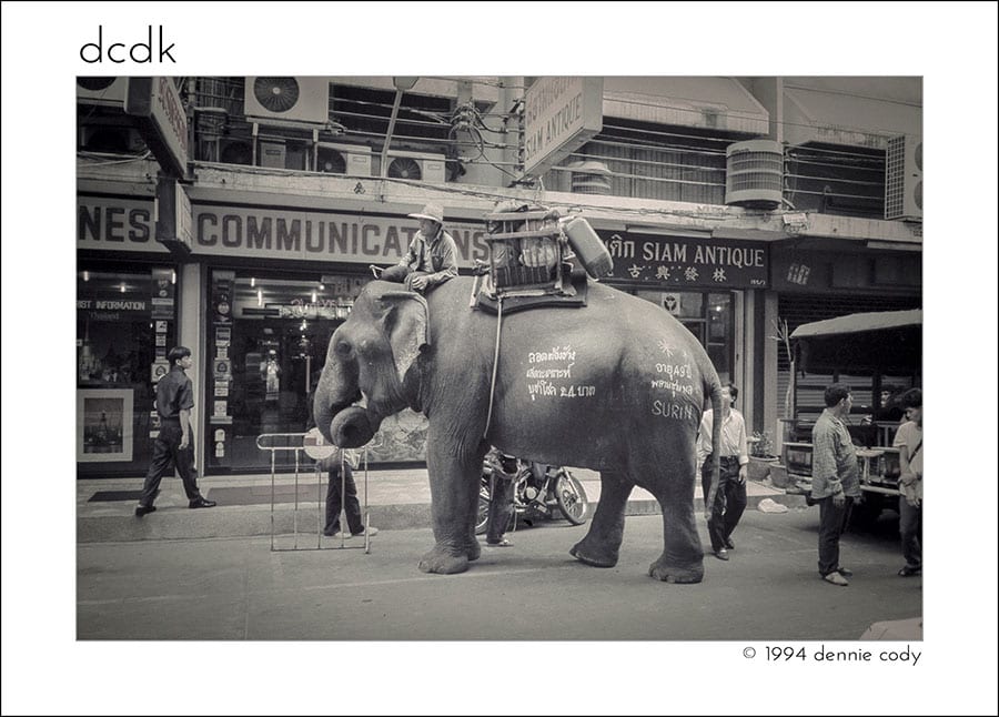 Elephant on the street in Thailand - Bangkok Street Photography