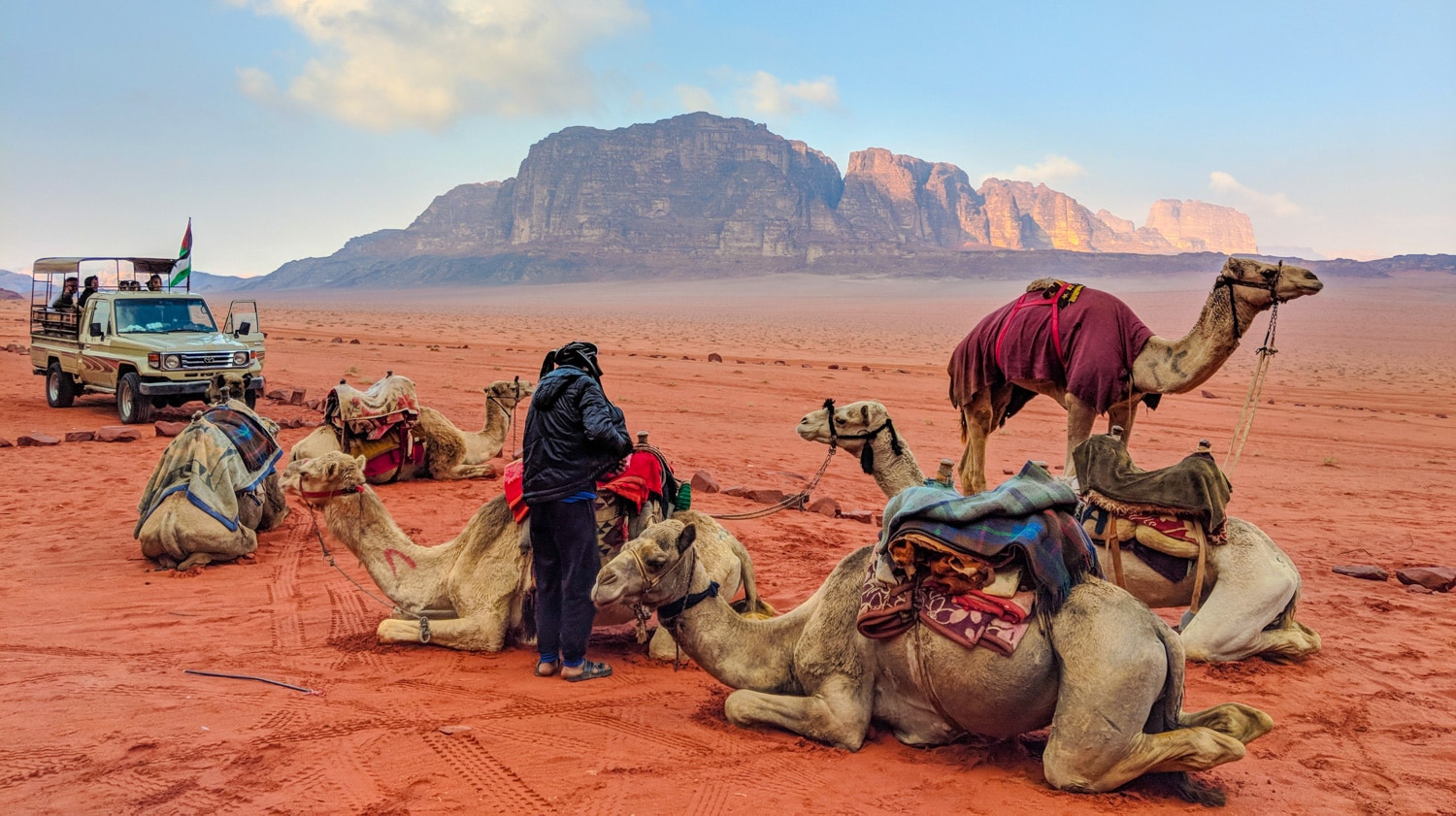 Wadi Rum Camels 2