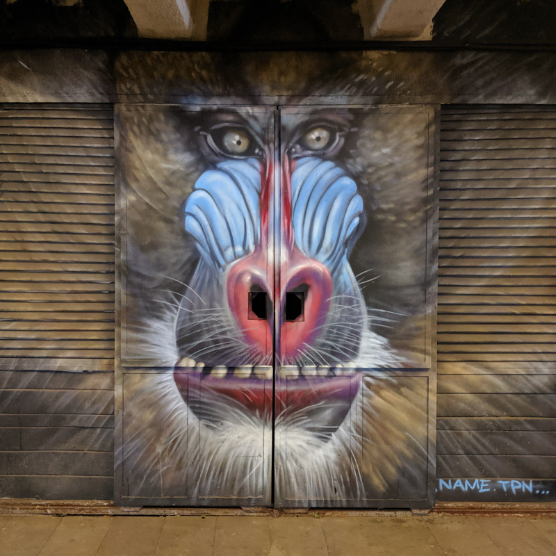 Street art mural monkey