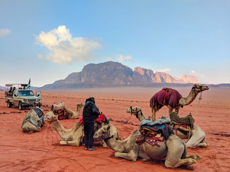 Bedouin with camels at the Wadi Rum Camp