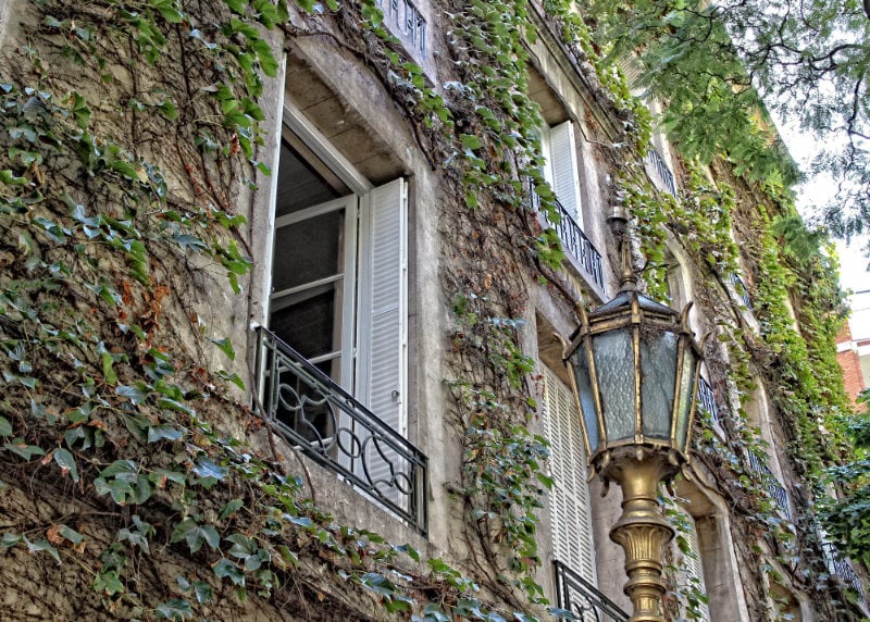 A beautiful vine covered building in Buenos Aires