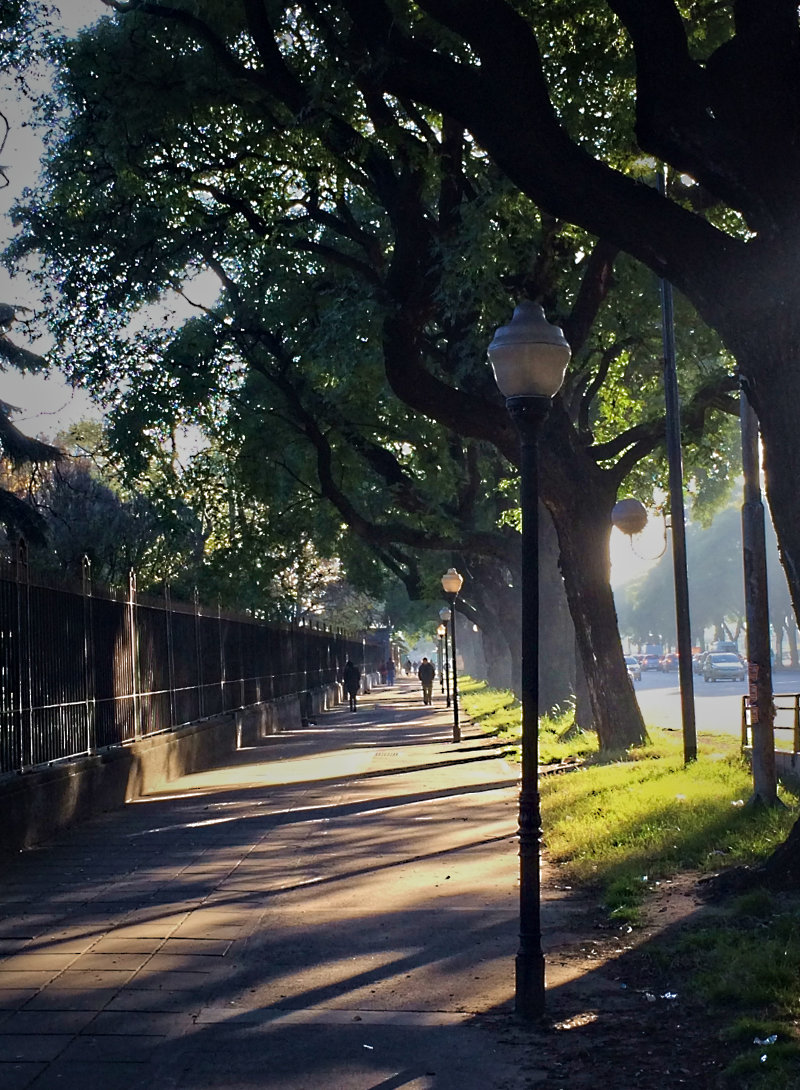 buenos aires street scene. Avenida Bulrich