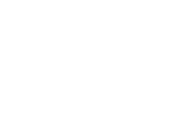 nomad flag logo