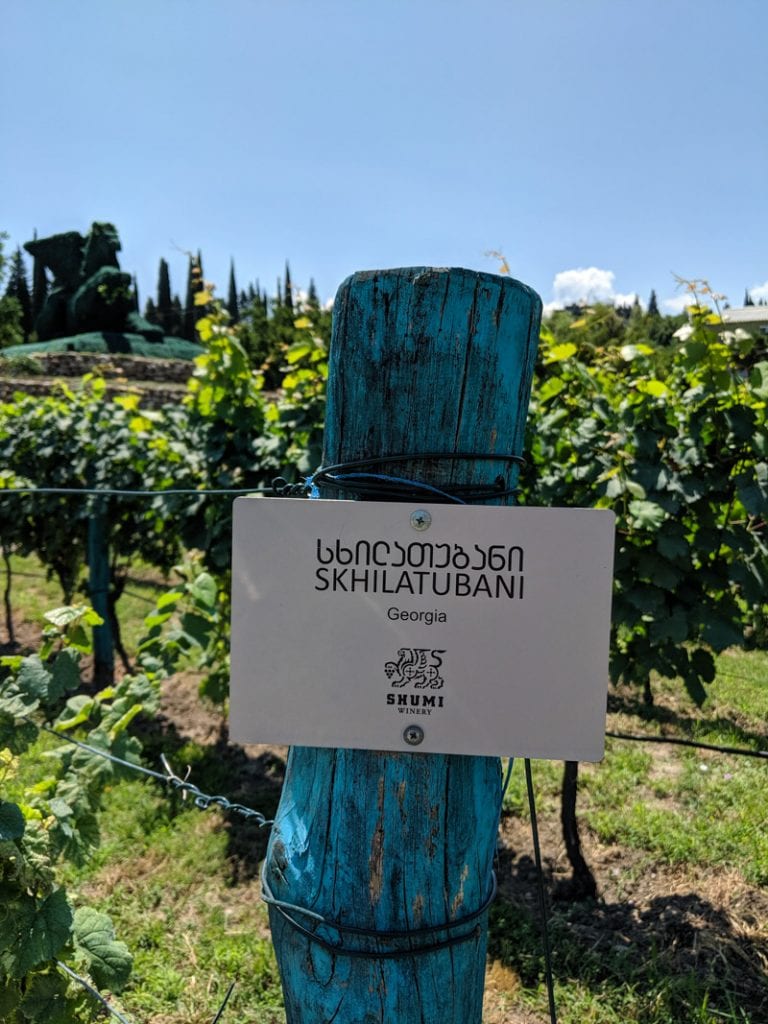 vine label at shumi vineyards