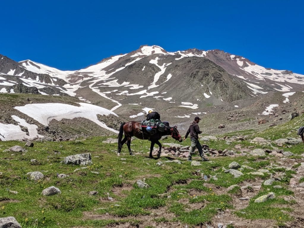 horse porter for climbers in national park area