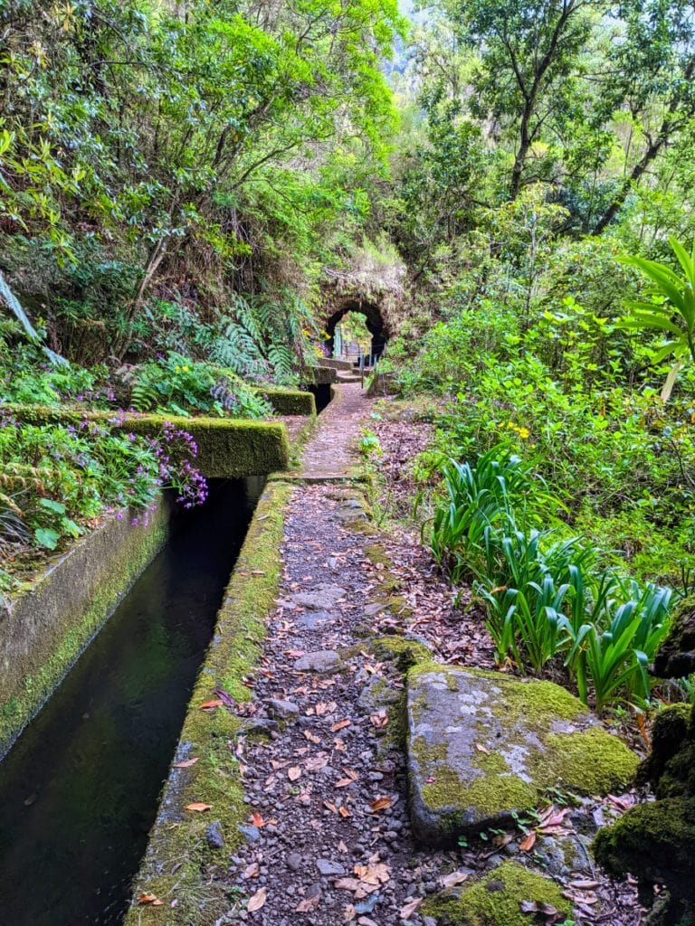 levada arch and forest
