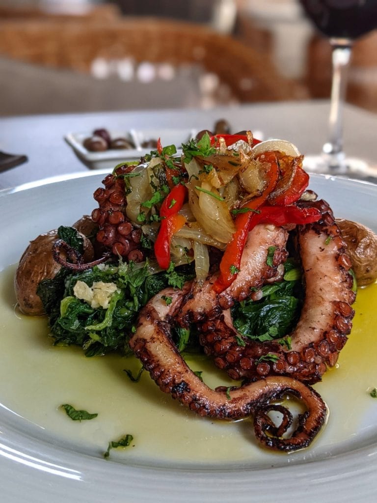 octopus fried with vegetables and glass of portuguese wine